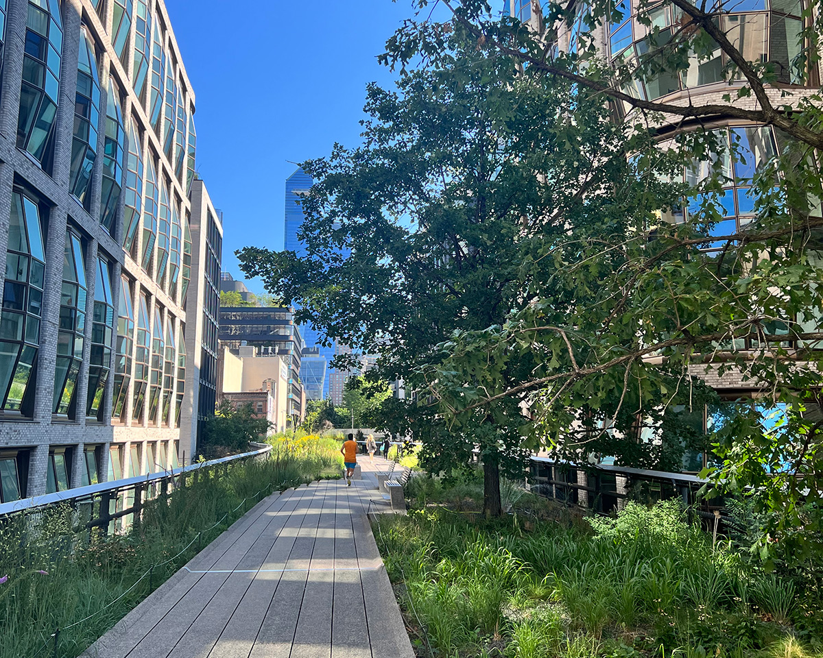 Photo of greenspace walkway in city landscape