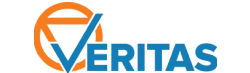 Veritas Solutions Group logo